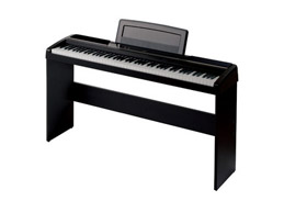 Korg SP-250 Stage Piano, Black, Inc Stand